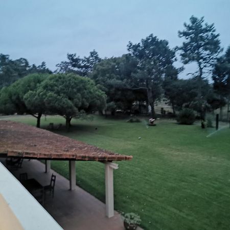 T1 Na Casa Da Quinta S Jose Villa Praia de Mira Exteriör bild